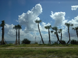 Clouds and palm trees